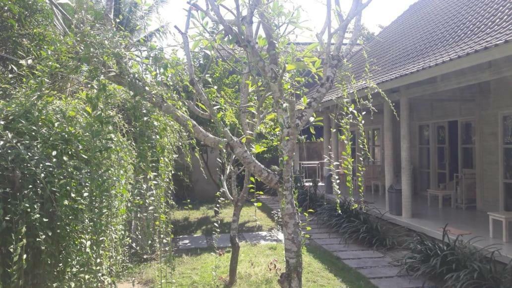 Vista Huts Lembongan Hotel Nusa Lembongan  Ngoại thất bức ảnh